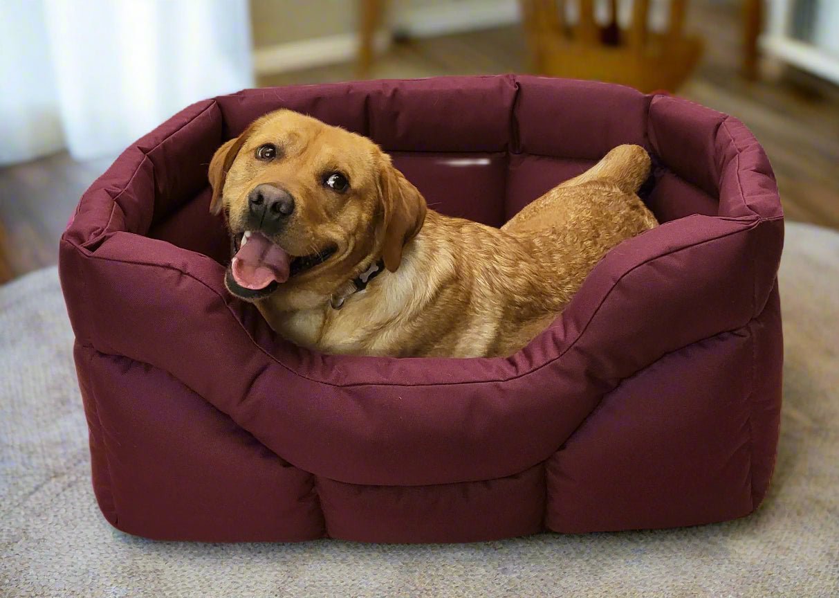 Country Dog Heavy Duty Rectangular High Sided Waterproof Dog Beds - Pet Supplier Store