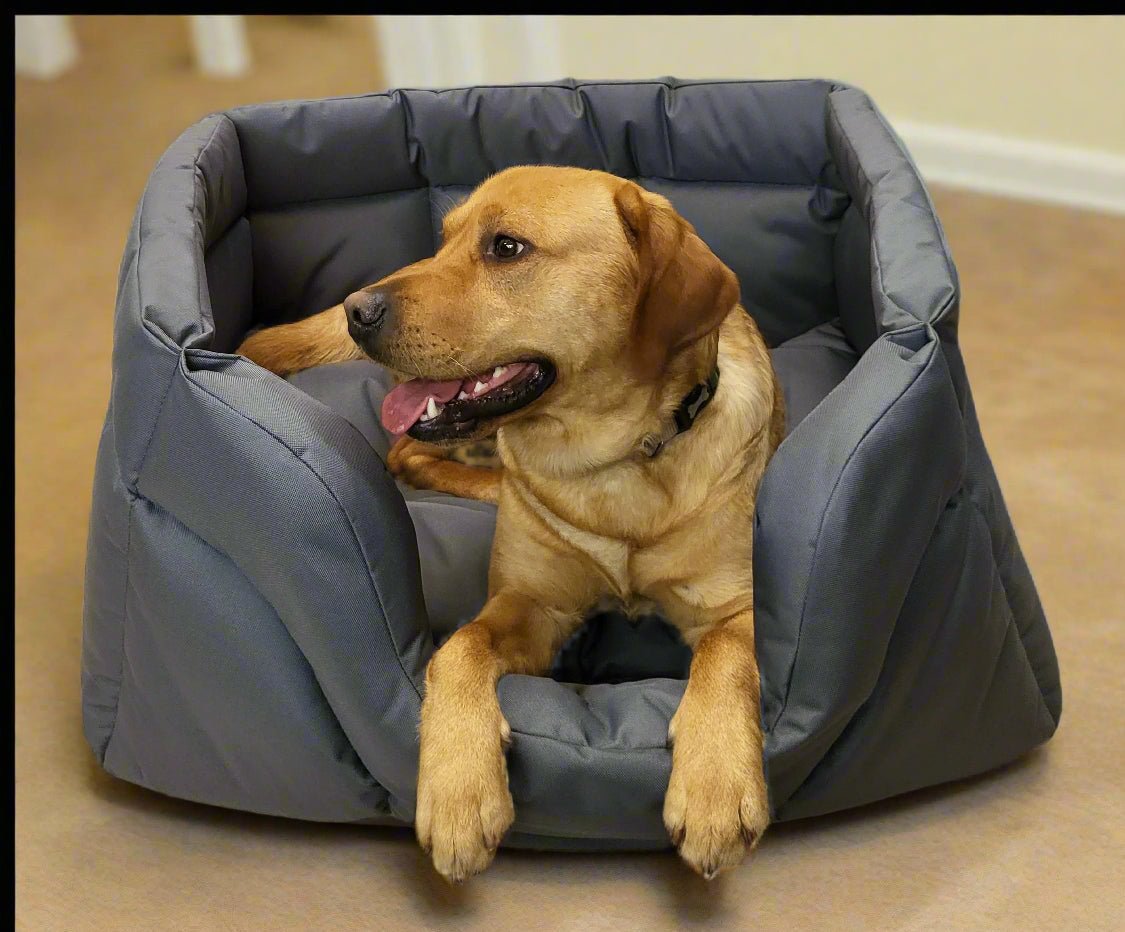 Country Dog Heavy Duty Rectangular High Sided Waterproof Dog Beds - Pet Supplier Store