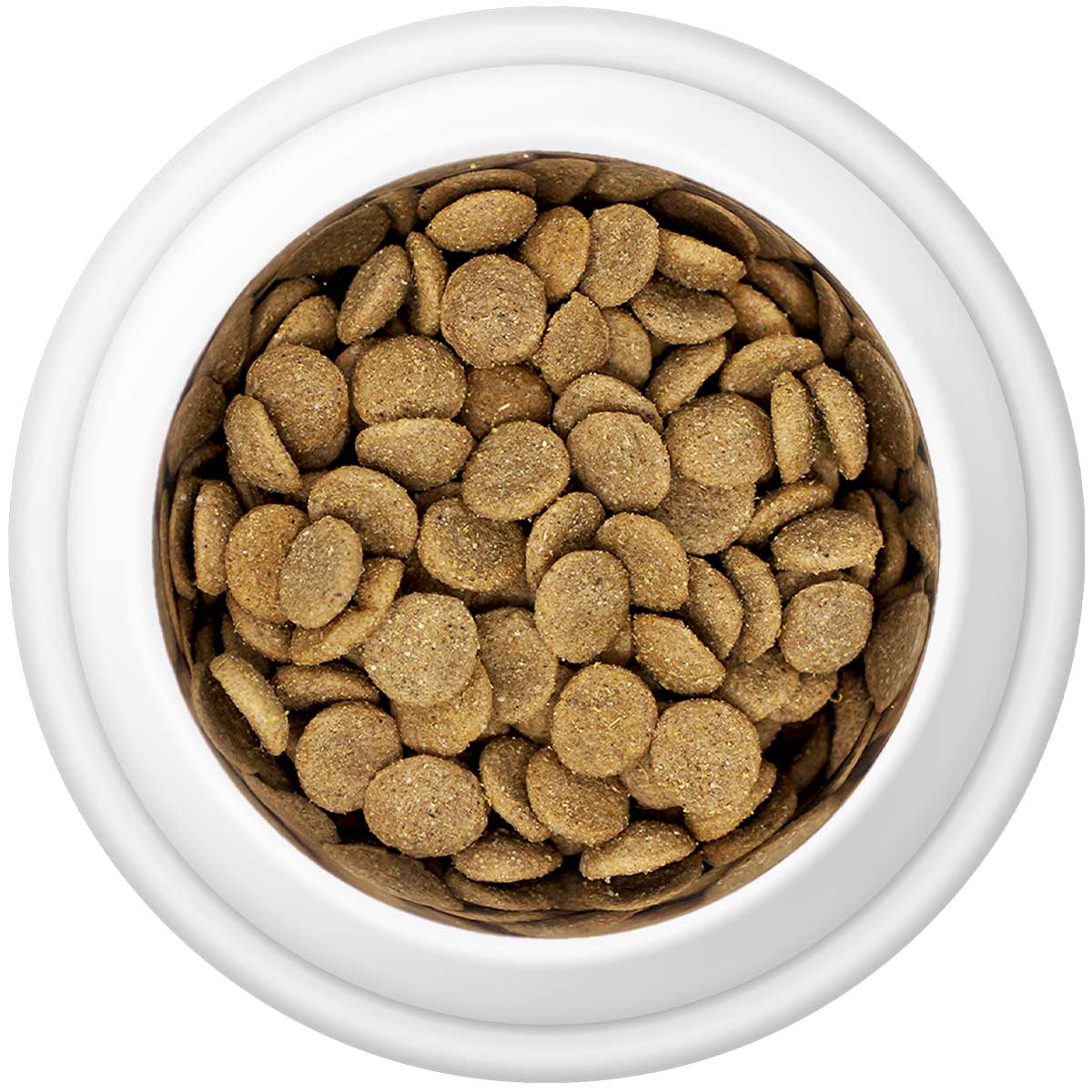 Country Pursuit Chicken & Rice Adult Dry Dog Food 15kg - Premium Range - Pet Supplier Store