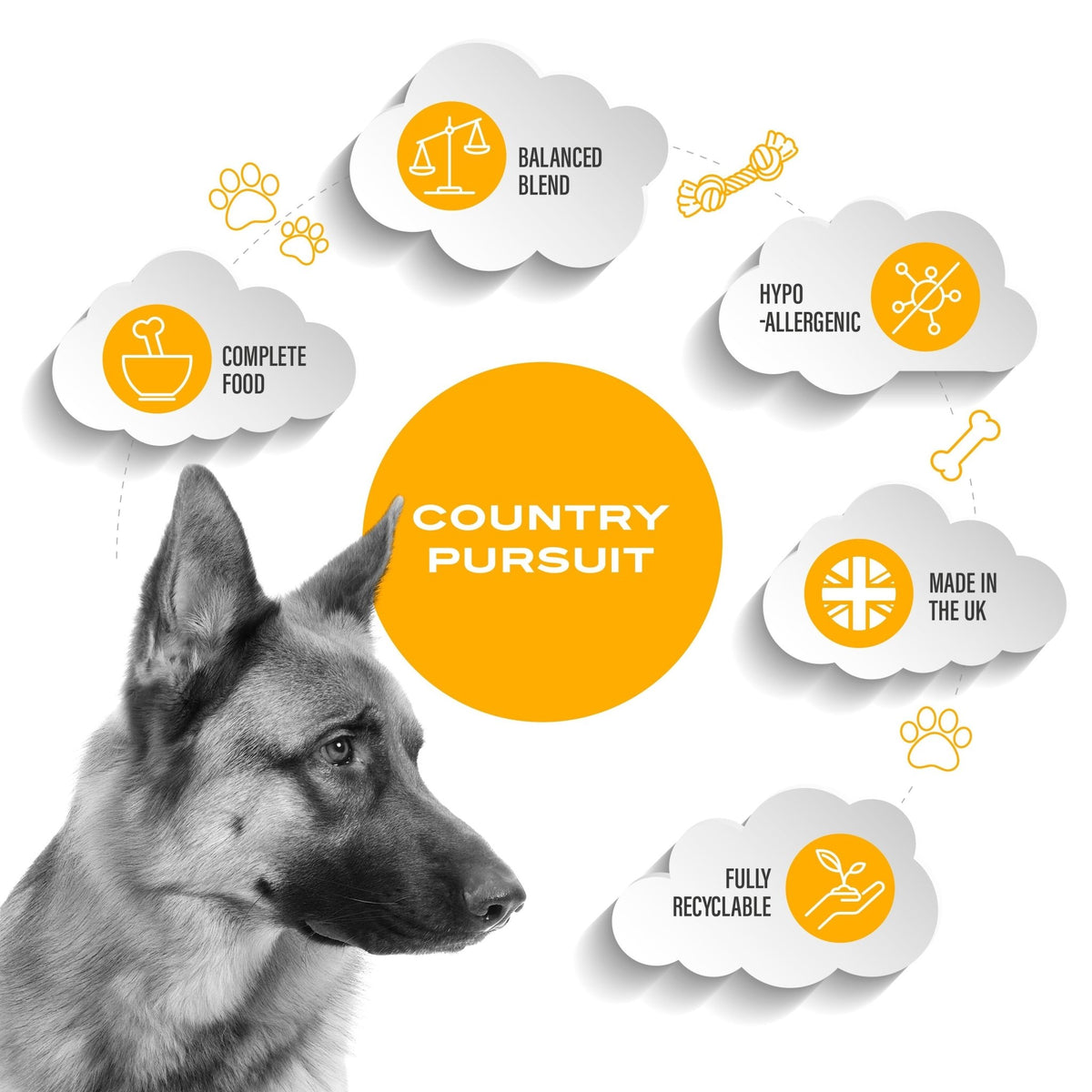 Country Pursuit Chicken & Rice Adult Dry Dog Food 15kg - Premium Range - Pet Supplier Store