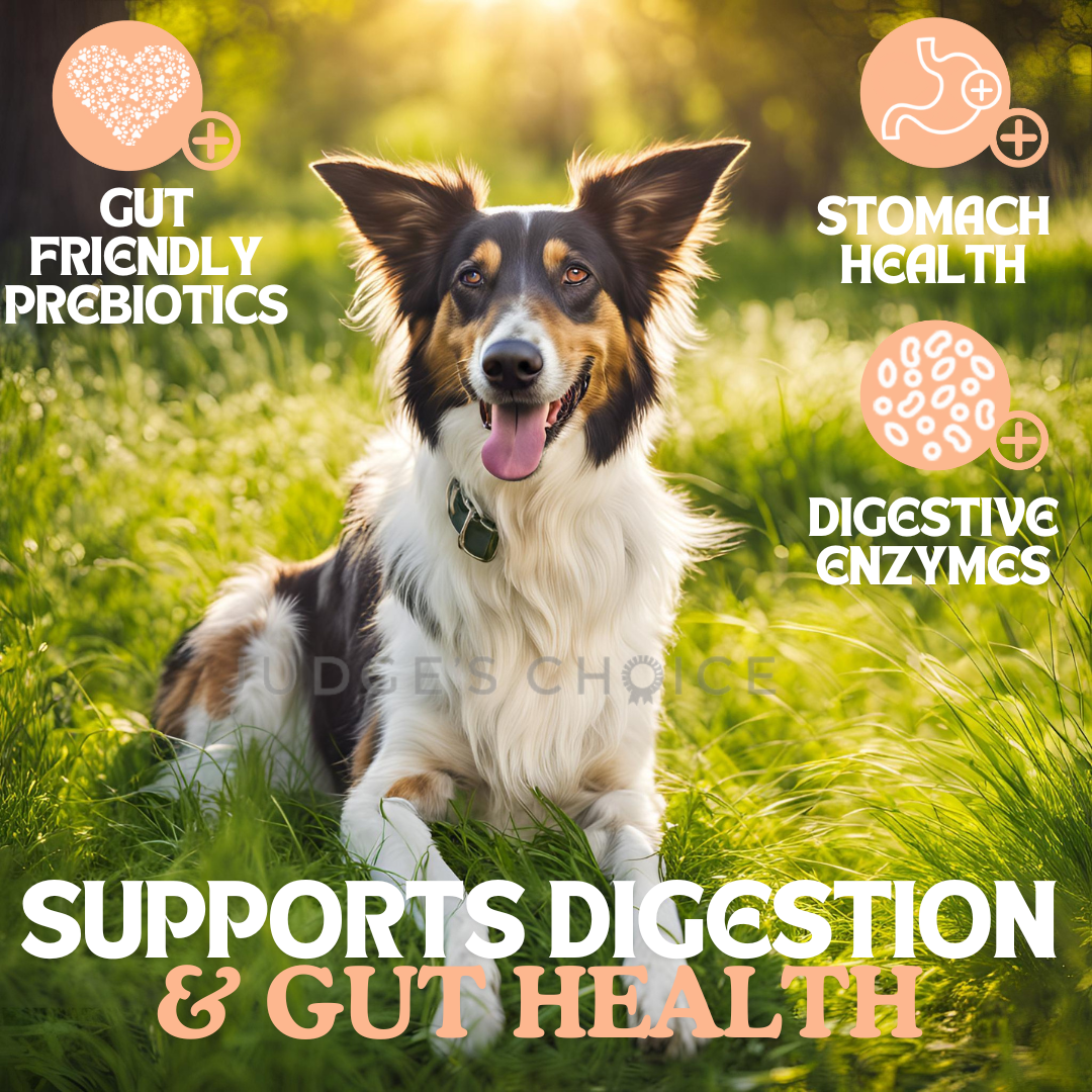 Country Pursuit Cold Pressed Chicken & Sweet Potato - 10kg - Pet Supplier Store