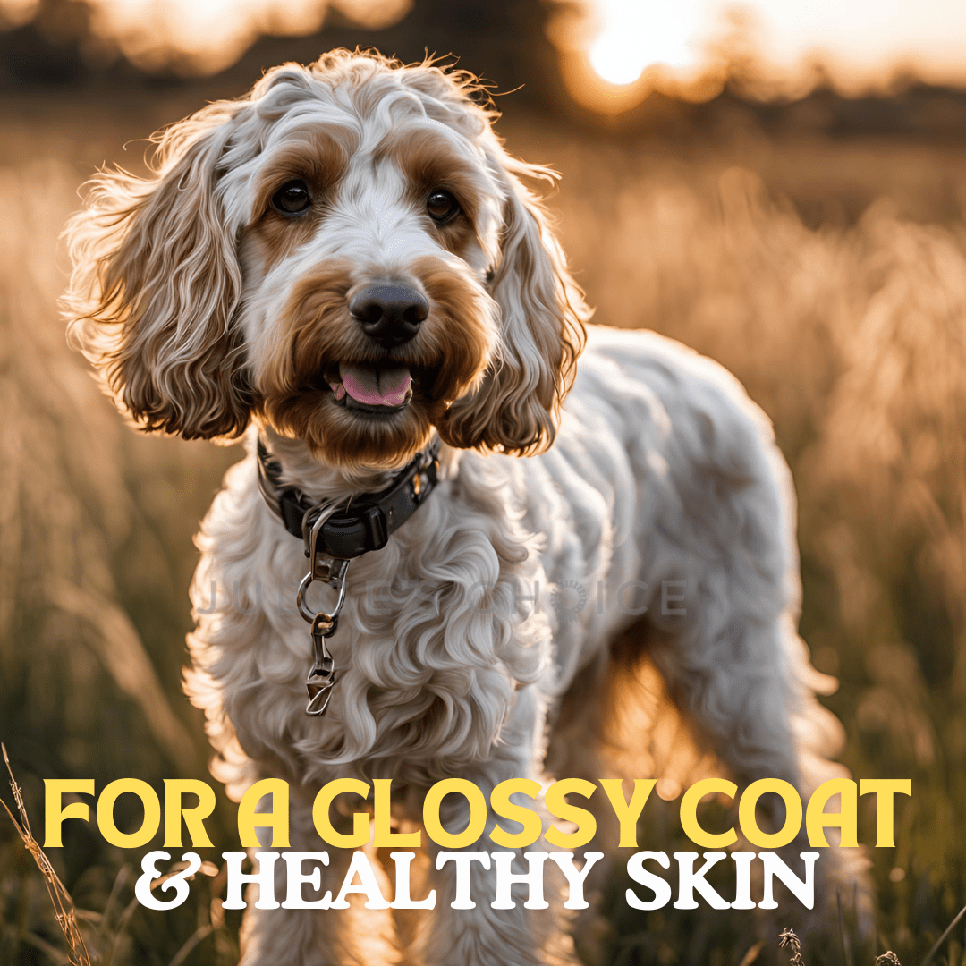 Country Pursuit Cold Pressed Chicken & Sweet Potato - 10kg - Pet Supplier Store