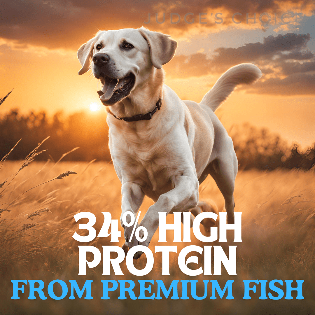 Country Pursuit Cold Pressed Ocean Fish & Sweet Potato - 3kg - Pet Supplier Store