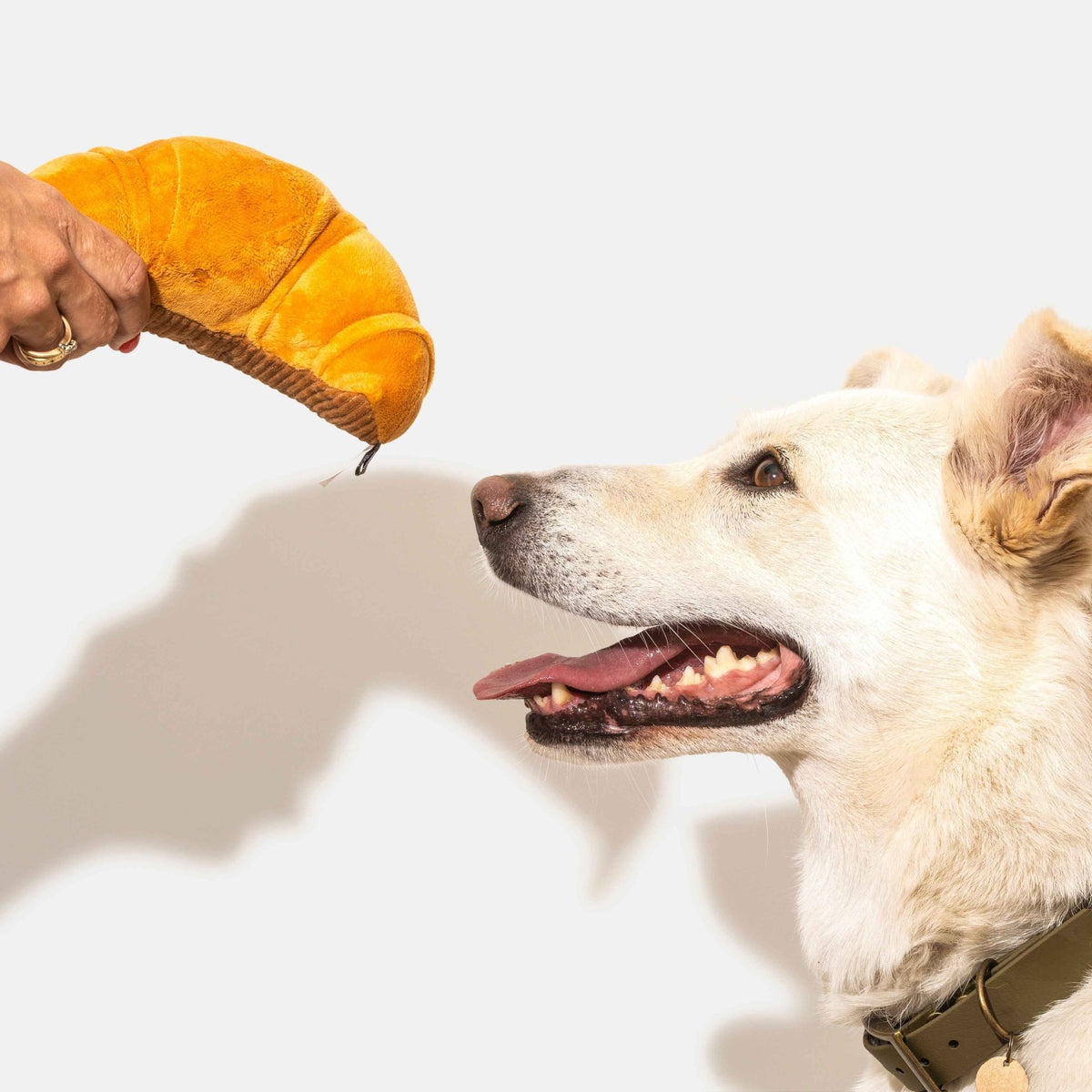 Croissant dog toy - Pet Supplier Store