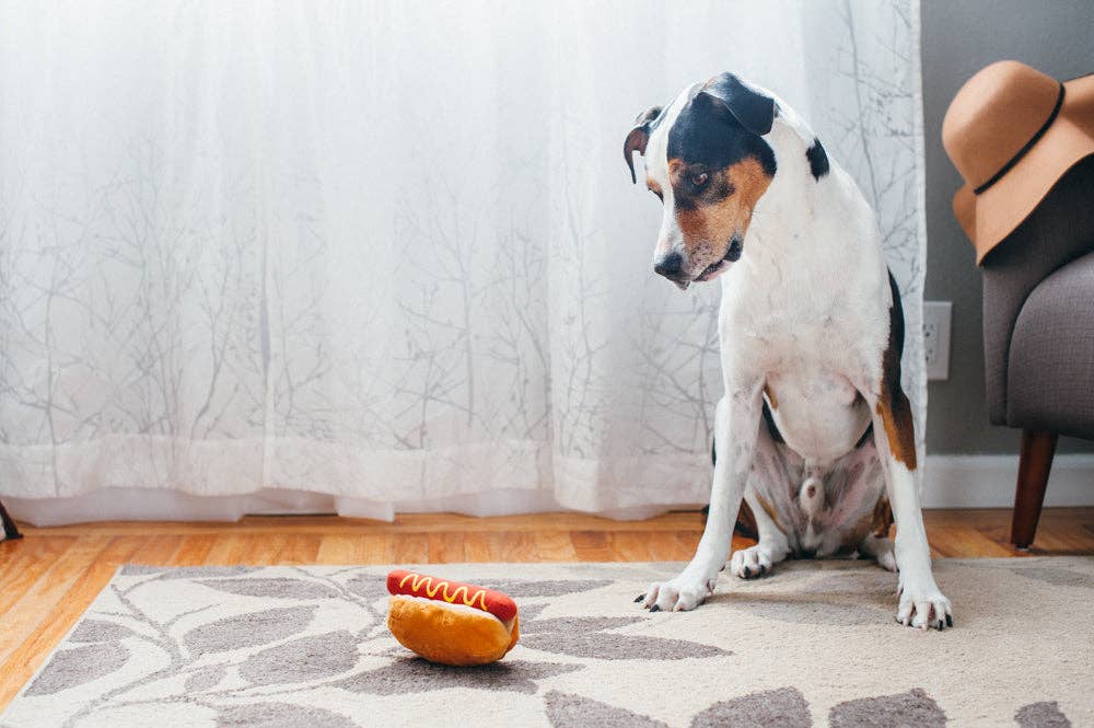 American Classic Hot Dog Enrichment Toy