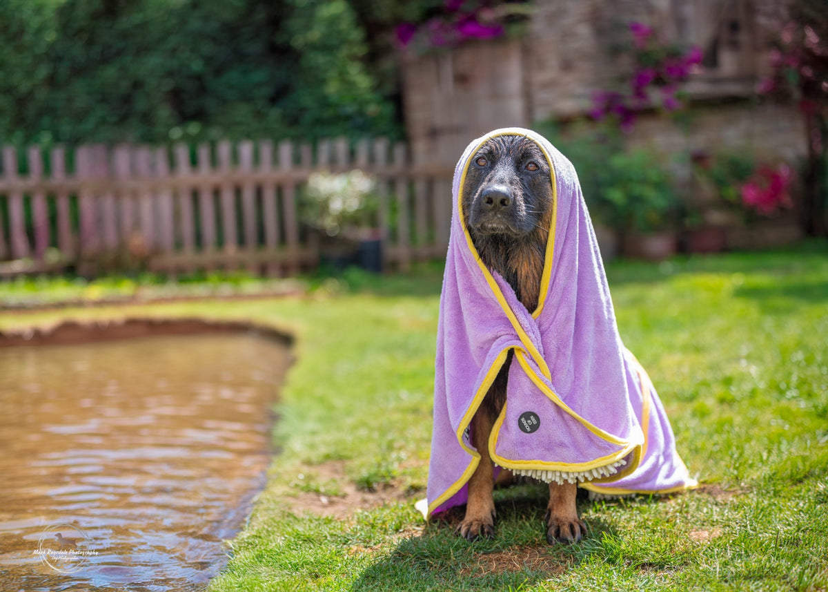 Daisy Dreams - Dog Towel + Carry Bag - Pet Supplier Store