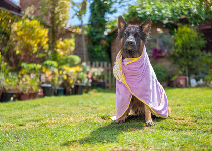Daisy Dreams - Dog Towel + Carry Bag - Pet Supplier Store