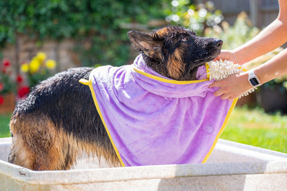 Daisy Dreams - Dog Towel + Carry Bag - Pet Supplier Store