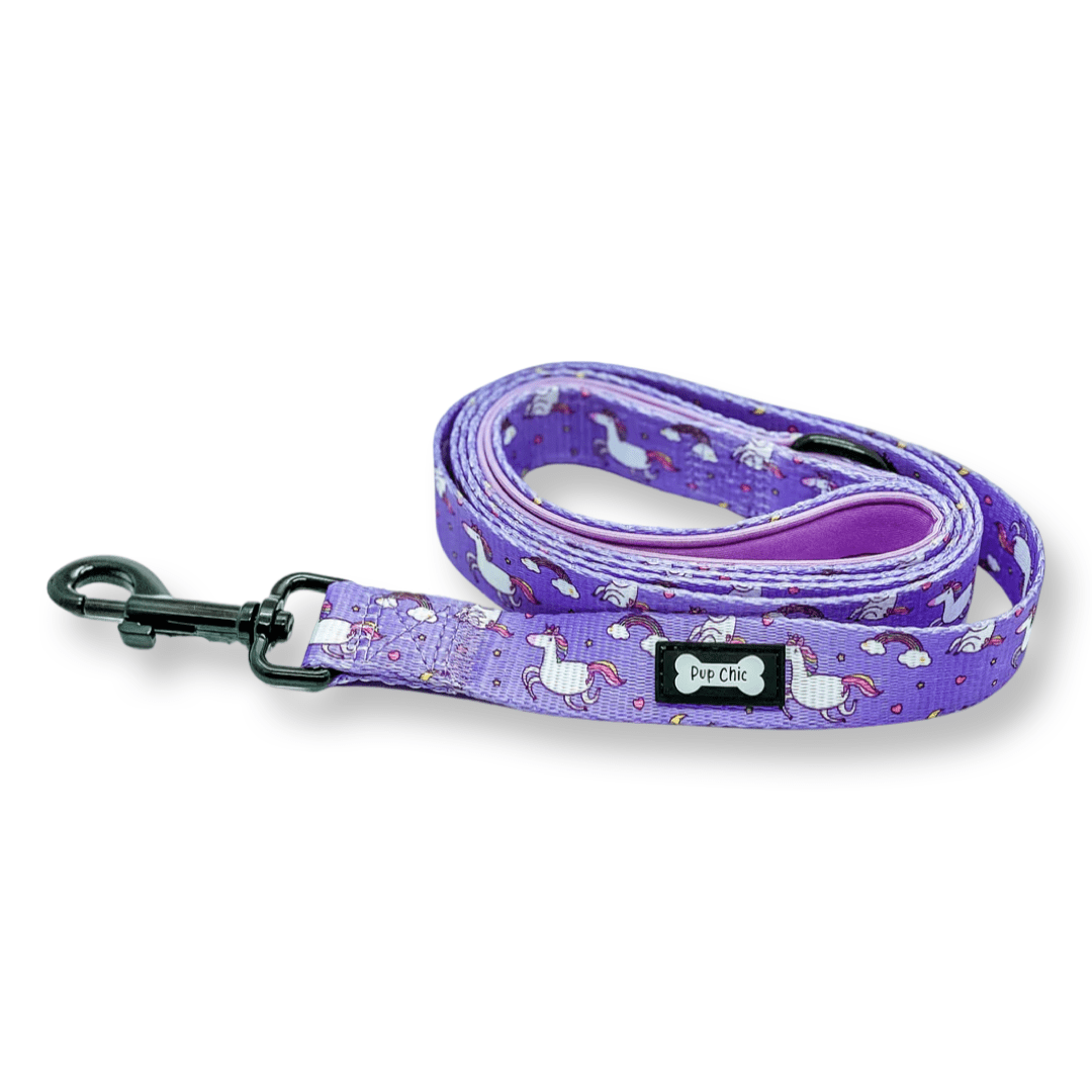 Daydreams and Unicorns 5ft Lead - Pet Supplier Store