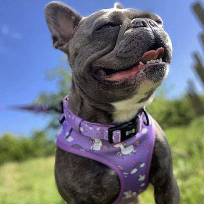 Daydreams and Unicorns Collar - Pet Supplier Store