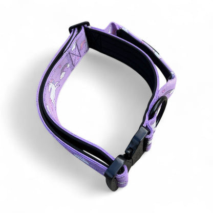 Daydreams and Unicorns Tactical Dog Collar (M–XL) – Heavy-Duty Strength Meets Bold Style - Pet Supplier Store