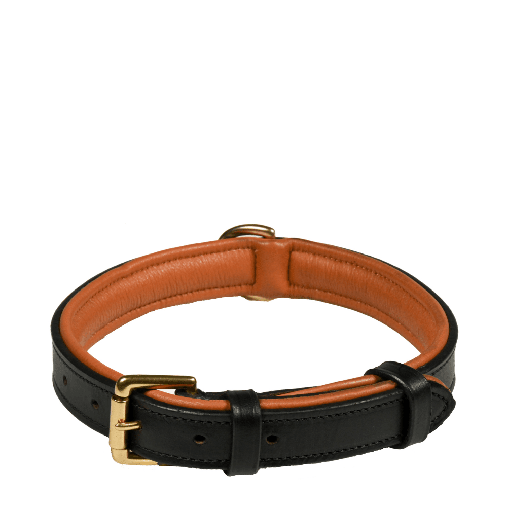 Deluxe Padded Leather Dog Collar - Pet Supplier Store