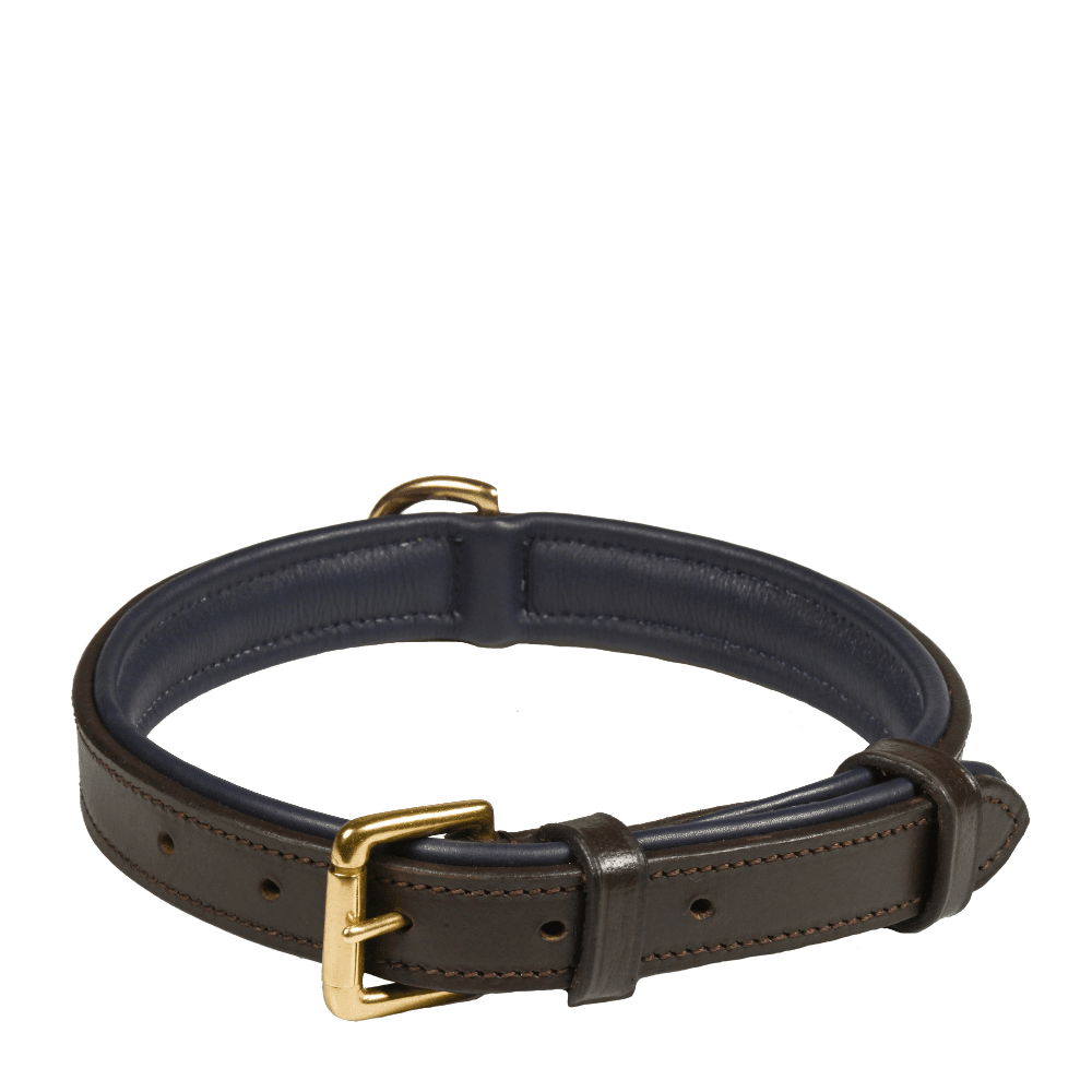 Deluxe Padded Leather Dog Collar - Pet Supplier Store