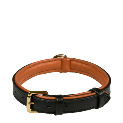 Deluxe Padded Leather Dog Collar