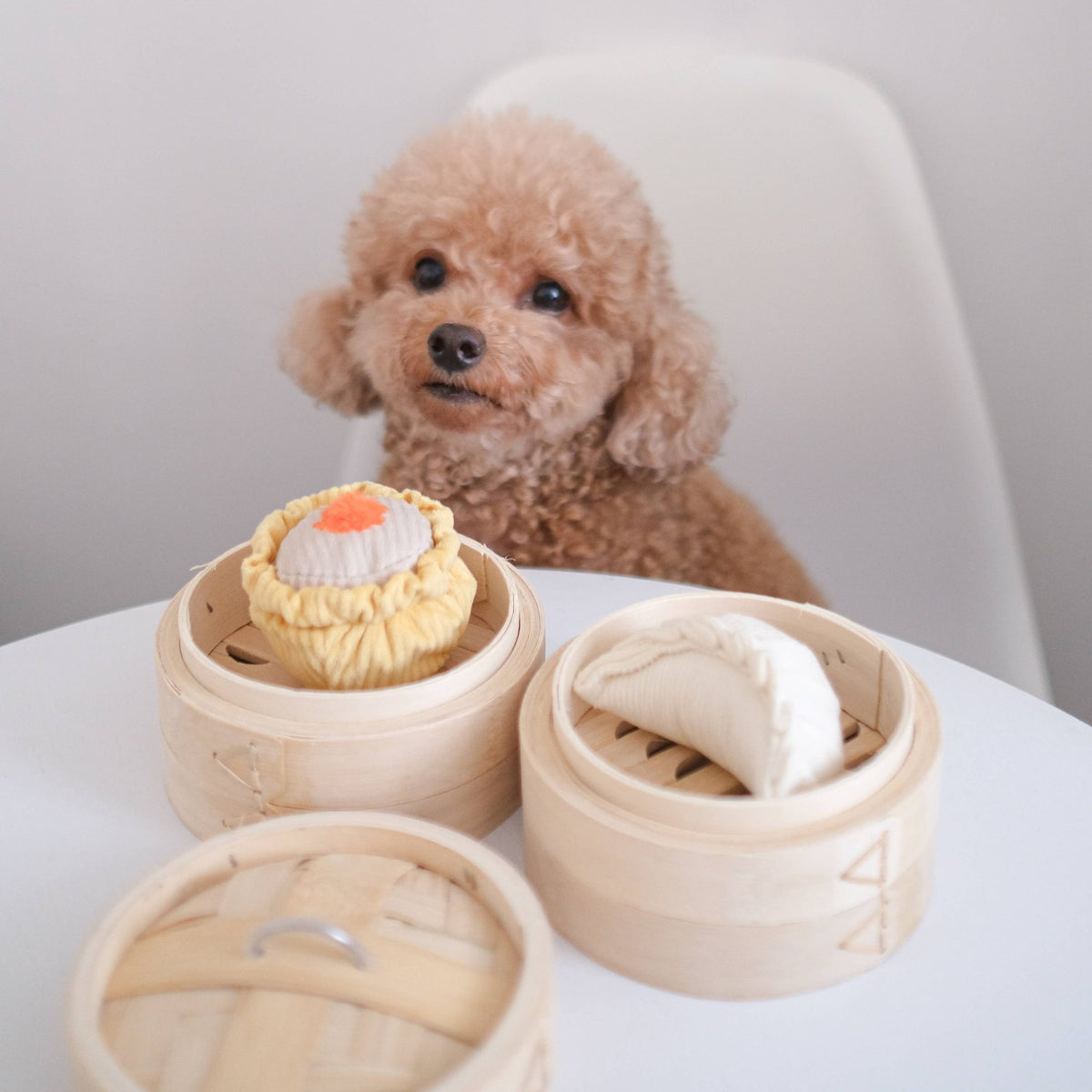 Dim Sum Pop enrichment dog toy - Pet Supplier Store
