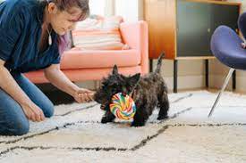 P.L.A.Y. Snack Attack Lollipup Plush Dog Toy