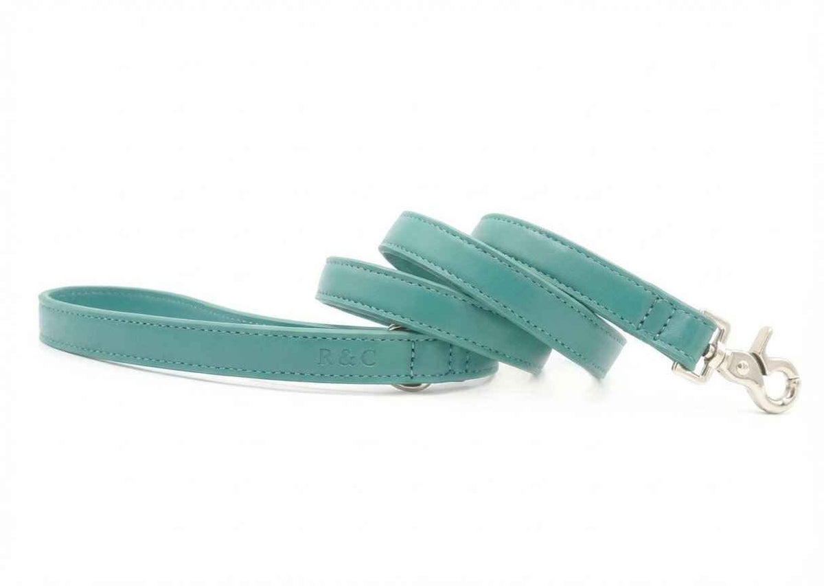 Duck Egg Blue Leather Dog Lead - Pet Supplier Store