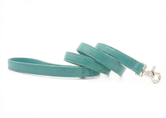 Duck Egg Blue Leather Dog Lead - Pet Supplier Store