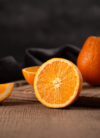 Duck & Orange - Pet Supplier Store