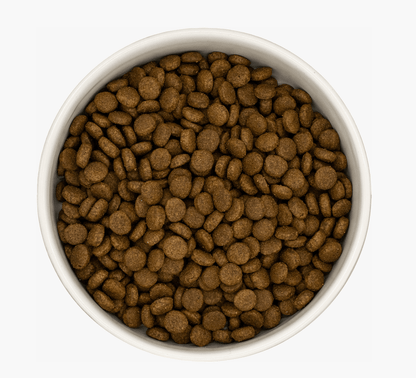 Duck with Sardines - Pet Supplier Store