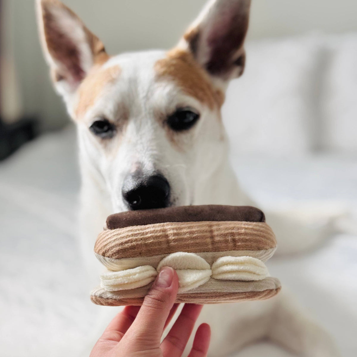 Éclair enrichment dog toy - Pet Supplier Store
