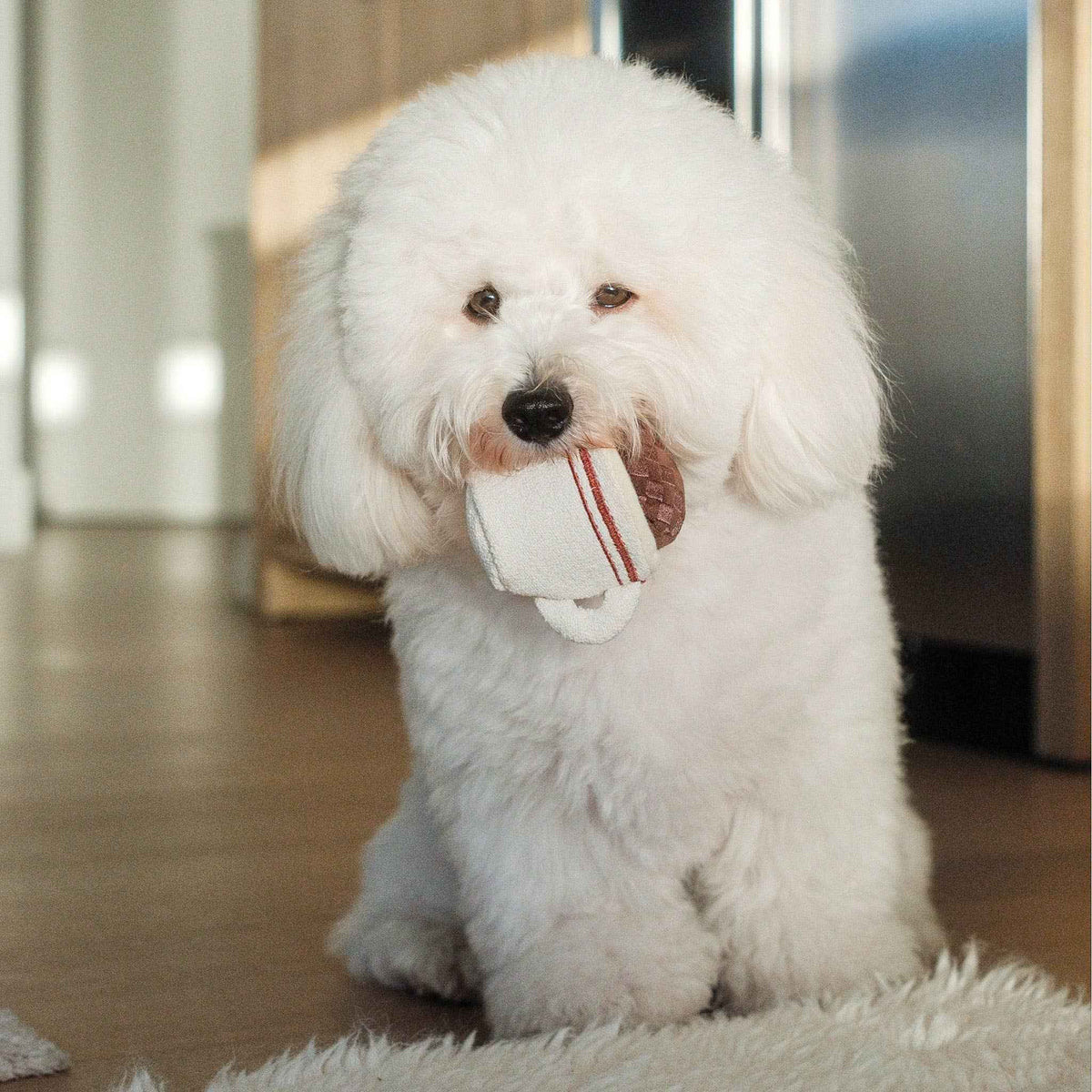 Espresso Pop Enrichment Dog Toy - Pet Supplier Store
