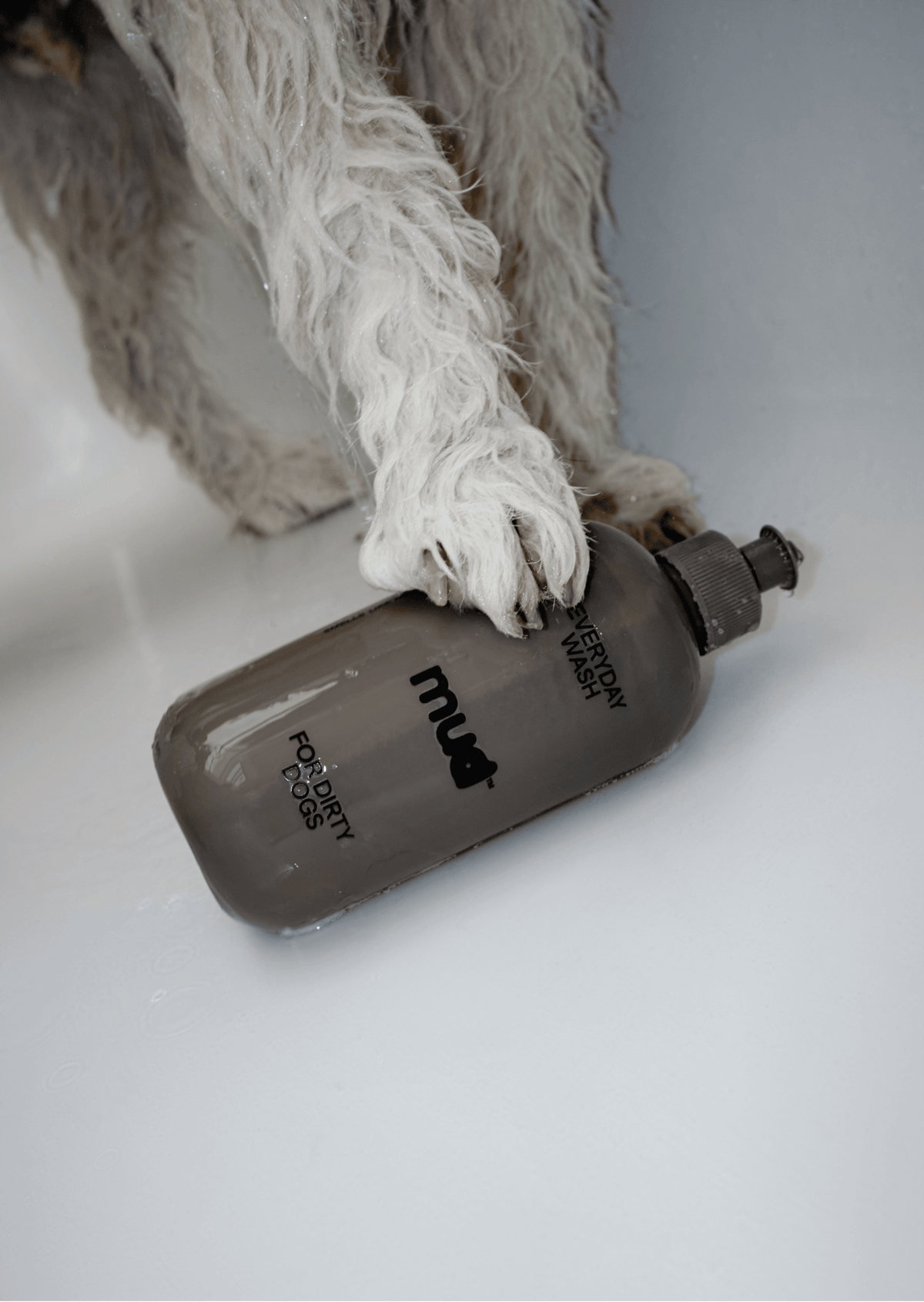Everyday Wash for Dirty Dogs 400ml - Pet Supplier Store