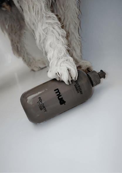 Everyday Wash for Dirty Dogs 400ml - Pet Supplier Store