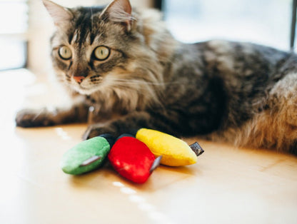 Feline Frenzy Christmas Lights Cat Toy Set of 3 - Pet Supplier Store