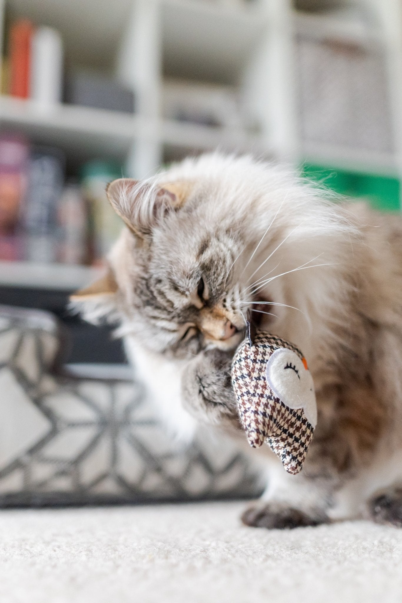 Feline Frenzy Hooti-ful Owls - Pet Supplier Store