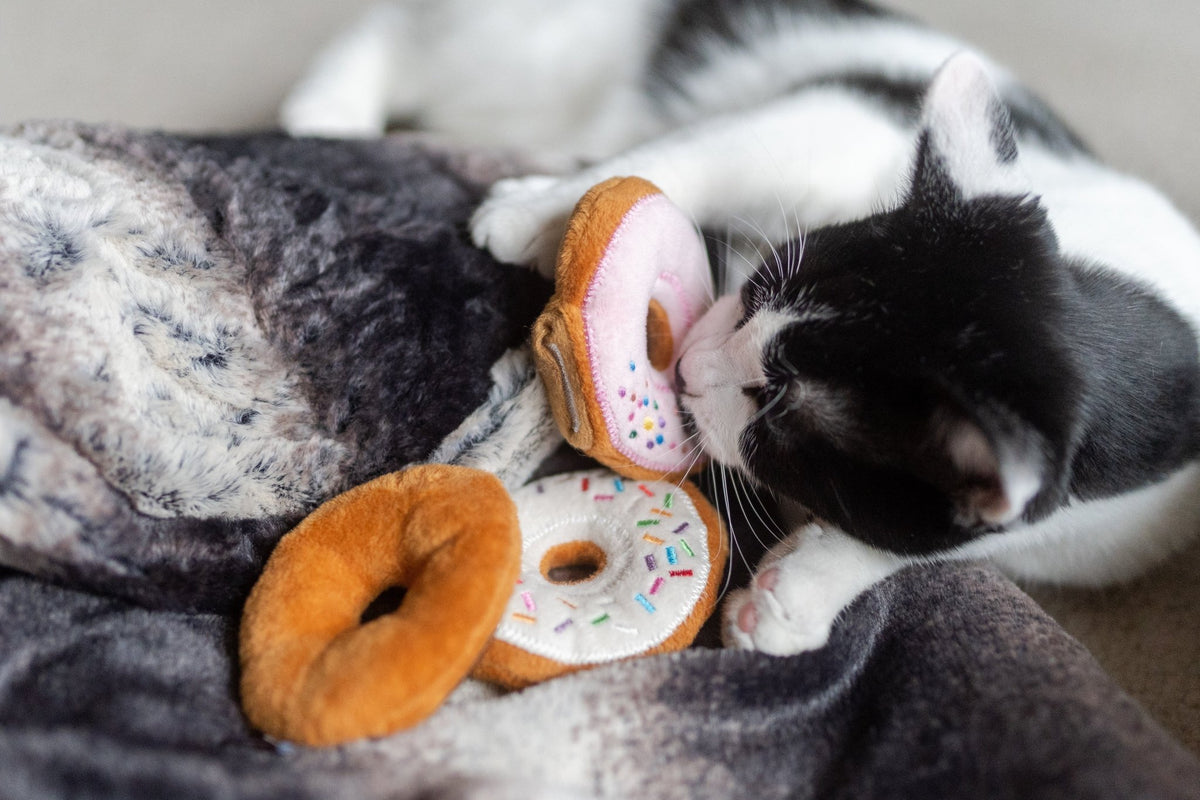 Feline Frenzy Kitty Kreme Donuts - Pet Supplier Store