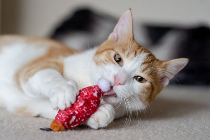 Feline Frenzy Meowy Christmas - Pet Supplier Store