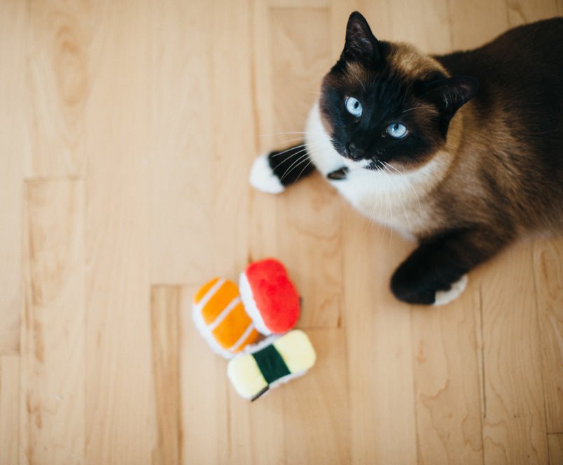 Feline Frenzy Sushi Cat Toy Set of 3 - Pet Supplier Store