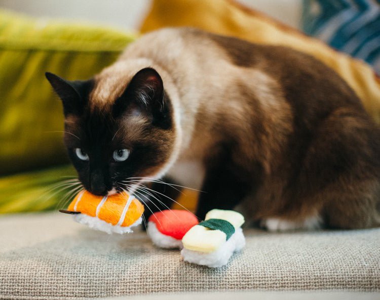 Feline Frenzy Sushi Cat Toy Set of 3 - Pet Supplier Store