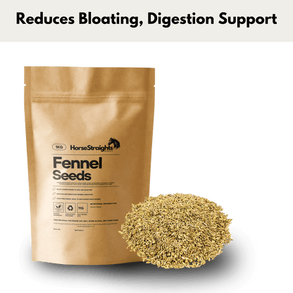 Fennel Seeds - Pet Supplier Store