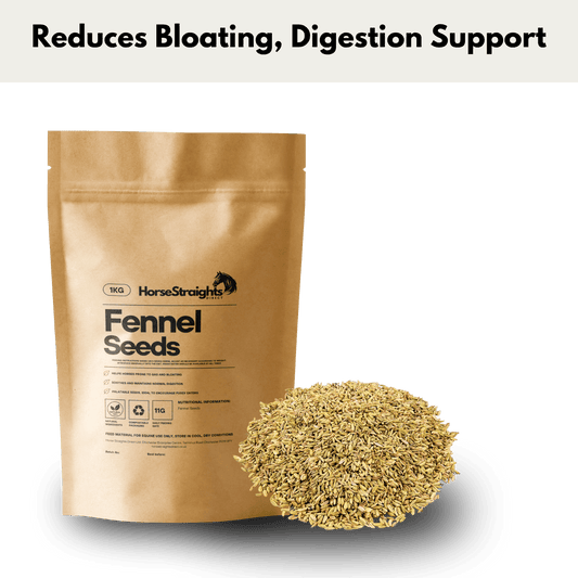 Fennel Seeds - Pet Supplier Store
