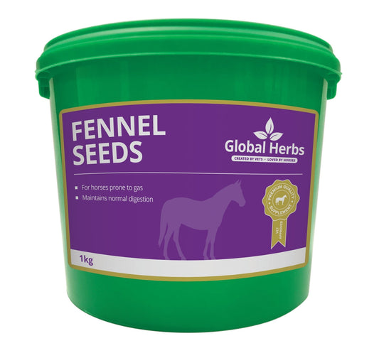 Fennel Seeds - Global Herbs - Pet Supplier Store