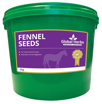 Fennel Seeds - Global Herbs - Pet Supplier Store