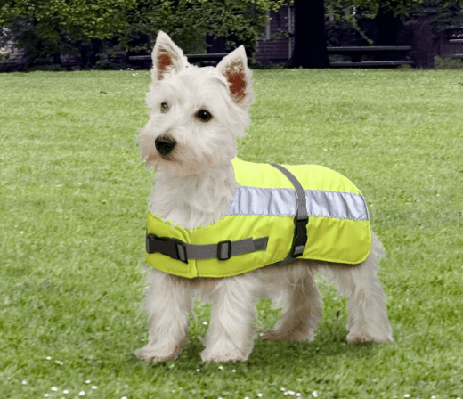 Flecta Hi-Vis Dog Jacket - Pet Supplier Store