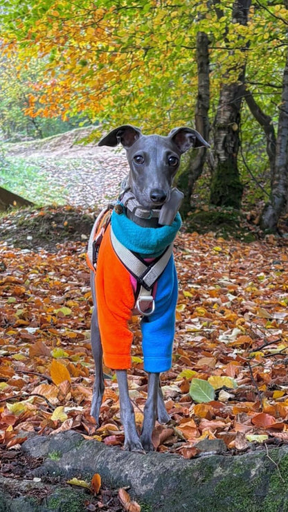 Fleece Jumper - Neon Colour Block - Pet Supplier Store
