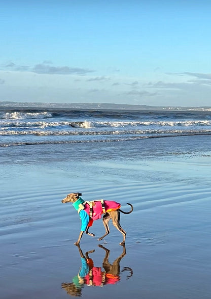 Fleece Jumper - Neon Colour Block - Pet Supplier Store