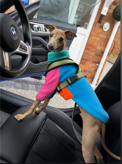 Fleece Jumper - Neon Colour Block - Pet Supplier Store
