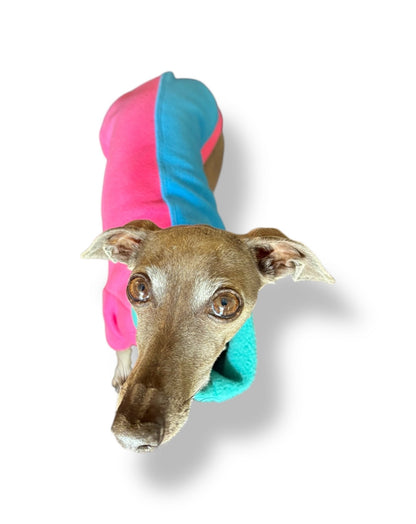 Fleece Jumper - Neon Colour Block - Pet Supplier Store