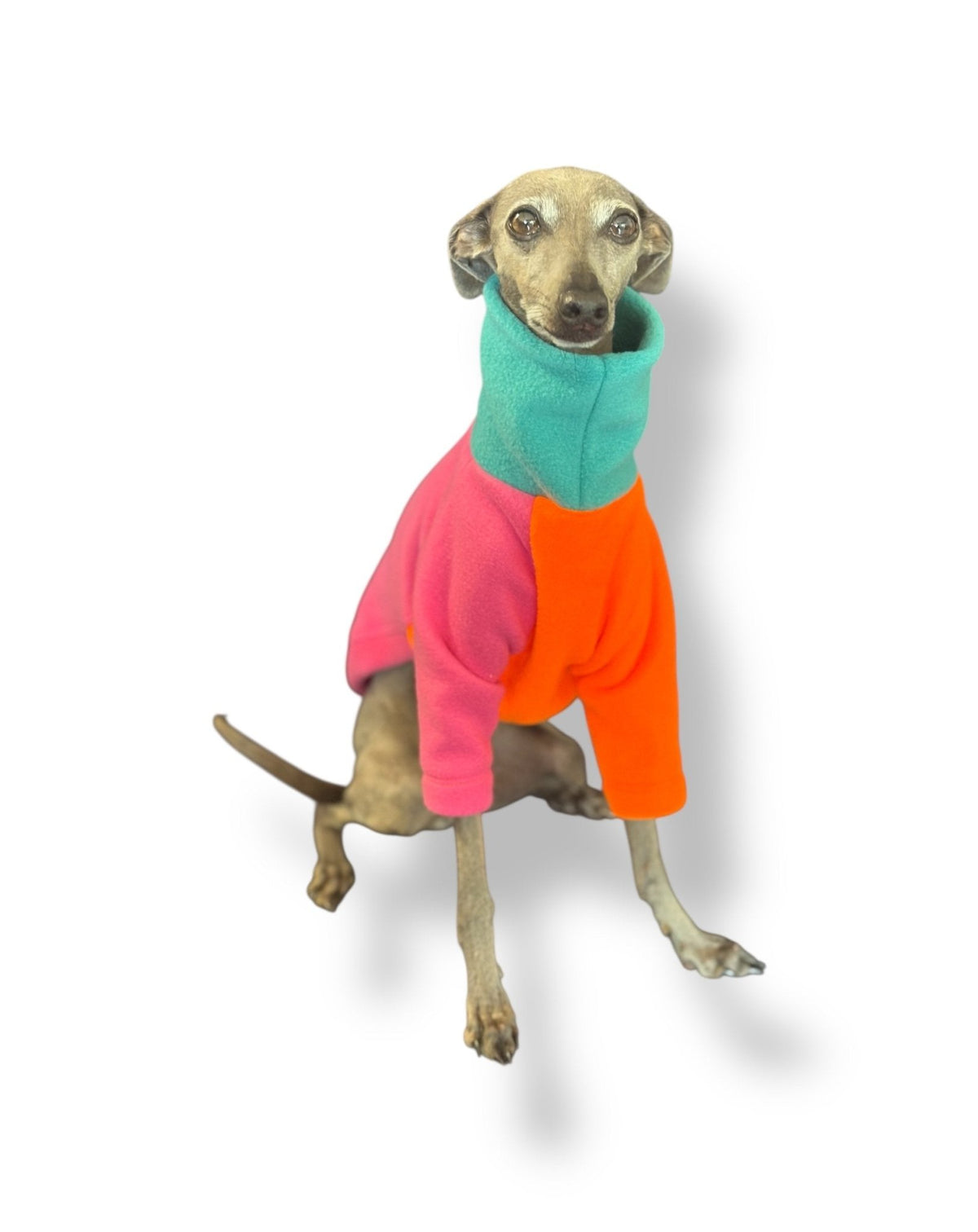Fleece Jumper - Neon Colour Block - Pet Supplier Store