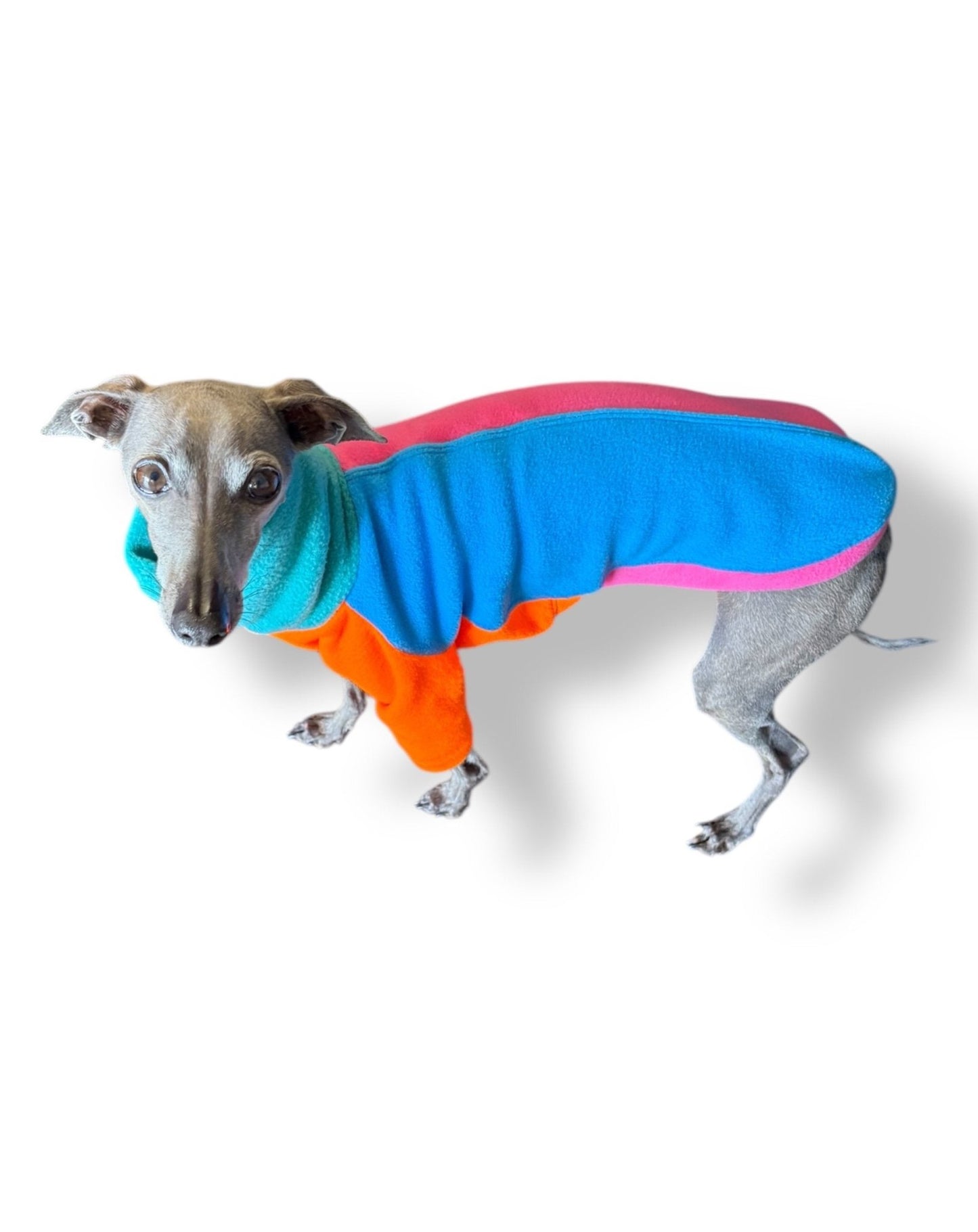 Fleece Jumper - Neon Colour Block - Pet Supplier Store