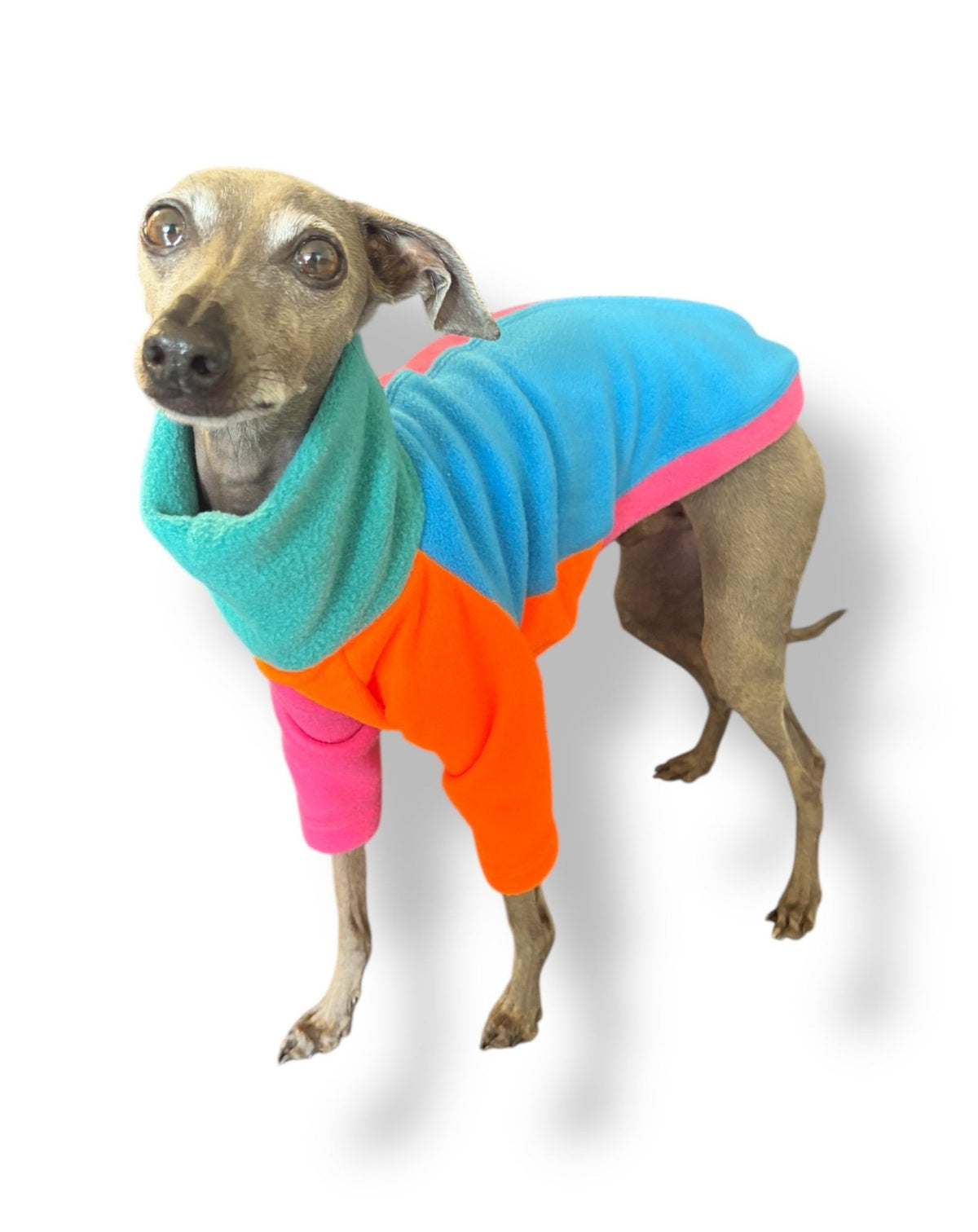 Fleece Jumper - Neon Colour Block - Pet Supplier Store