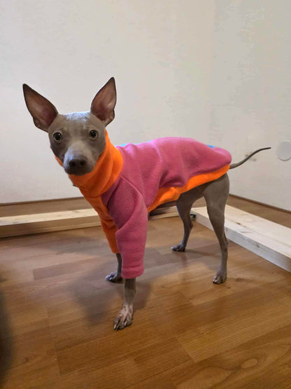 Fleece Jumper - Neon Colour Block - Pet Supplier Store