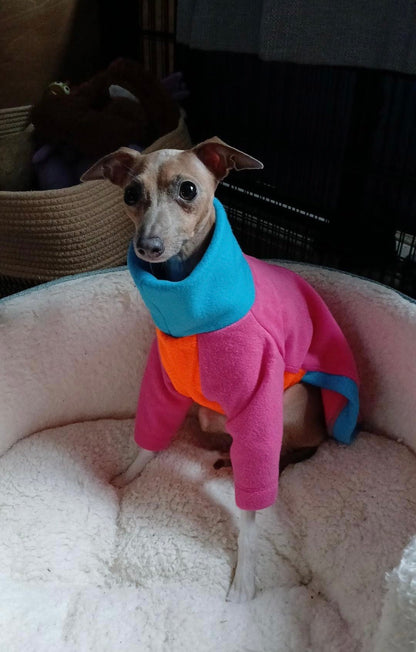 Fleece Jumper - Neon Colour Block - Pet Supplier Store