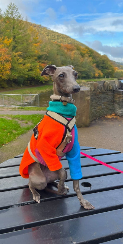 Fleece Jumper - Neon Colour Block - Pet Supplier Store
