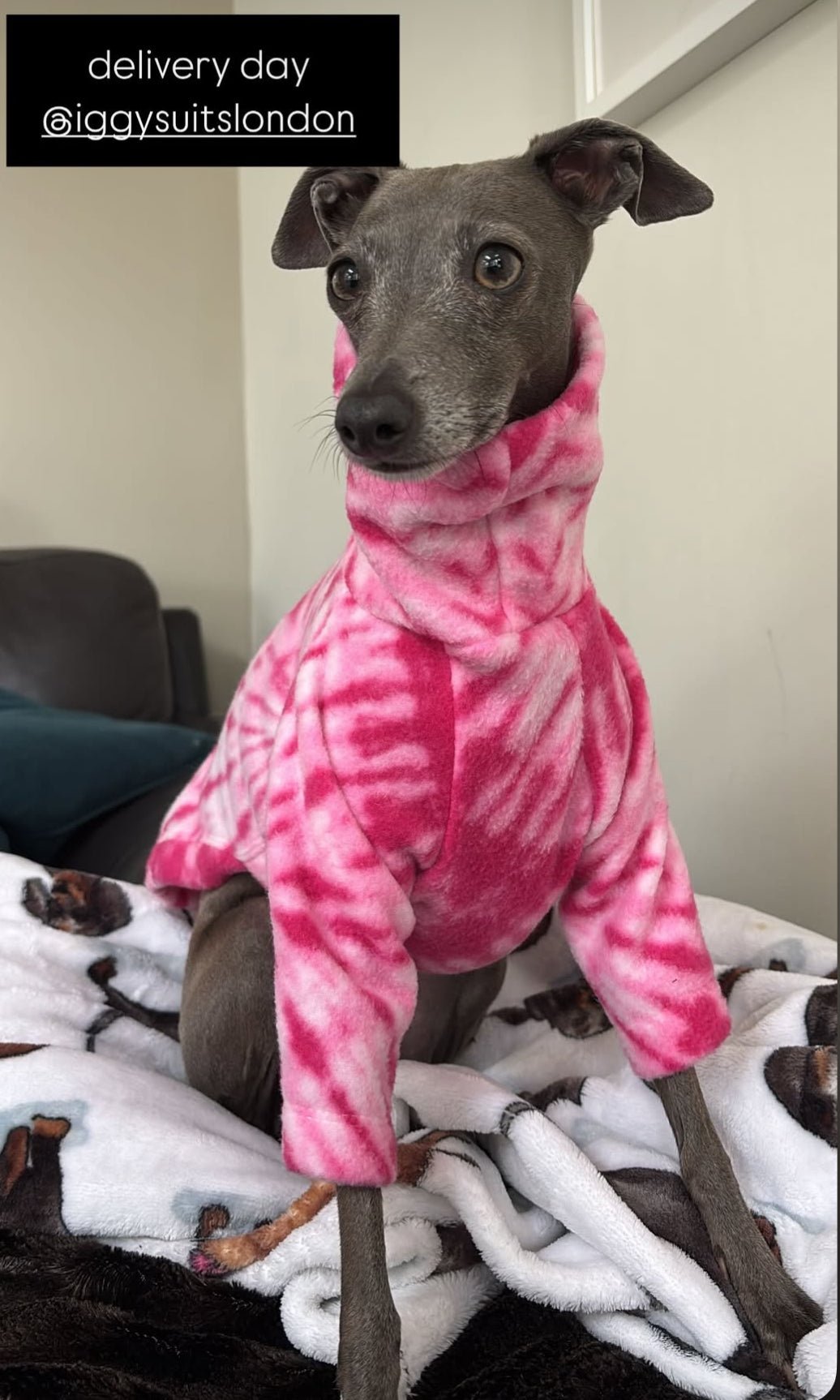 Fleece Jumper - Pink Tie Dye - Pet Supplier Store